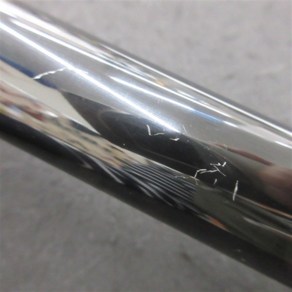 がま鮎 エクセルシオ プレスト